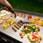Razor Griddle Spatula
