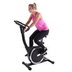 Vélo d’exercice magnétique 345 Stamina, noir