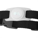 AirTag Case-Mate Dog Collar Mount - Clear Glow-in-the-Dark