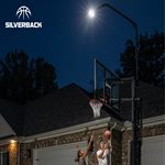 Silverback LED Hooplight