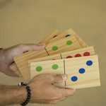 TRIUMPH Wood Lawn 28 Piece Jumbo Domino Game Set and Carry Bag