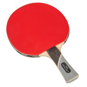 STIGA Ghost Ping Pong Paddle