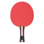 Ensemble de tennis de table STIGA Performance (ensemble pour 4 joueurs)
