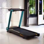 Tapis de course Reebok FR20z Floatride - vert