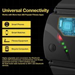 Scosche Rhythm24 Waterproof Armband Heart Rate Monitor - Black