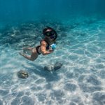 Speaqua - Barnacle Pro 2.0 Portable Waterproof Bluetooth Speaker with Built in Storage (2,000 songs) - Sea Glass