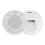 Speaqua - Cruiser H2.0 grand blanc